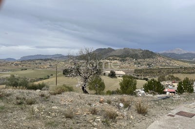 /international/es/av-de-los-pradillos-malaga-andalusia-120074886321/?lang=zh-tw