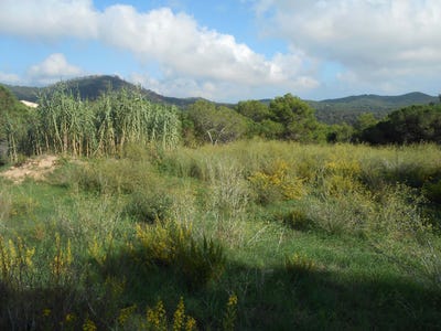 /international/es/carrer-de-pedraforca-tordera-catalonia-310104229938/