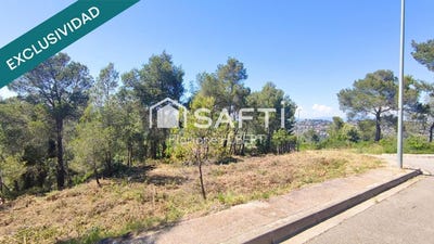 /international/es/cervello-catalonia-310105746682/