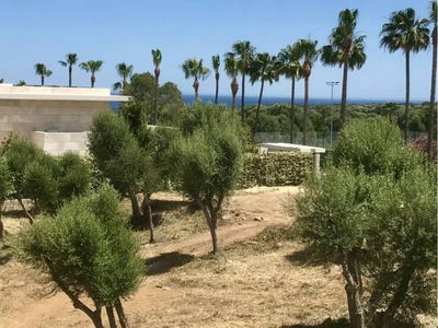 /international/es/sotogrande-andalusia-310106836620/