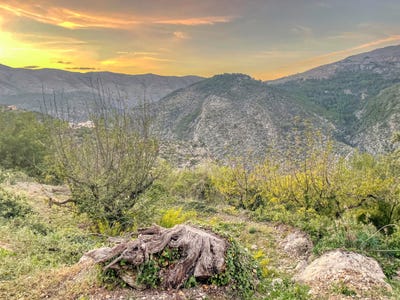 /international/es/vall-de-laguar-la-valencian-community-310106399930/