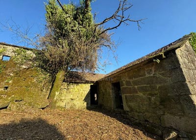 /international/es/lg-cascardoso-campo-covelo-galicia-310106066555/