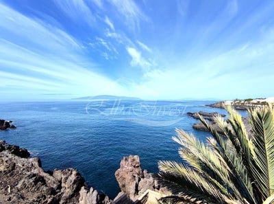 /international/es/alcala-canary-islands-310101533399/