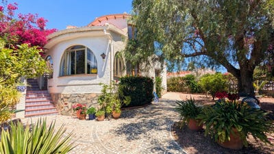 /international/es/ciudad-quesada-a-ciudad-quesada-valencian-community-310108925254/?lang=id