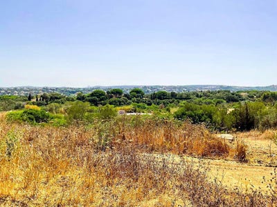 /international/es/sotogrande-andalusia-310098060627/