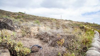 /international/es/tenerife-valencian-community-120080992515/