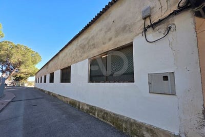 /international/es/carretera-de-mula-calasparra-region-of-murcia-310107041582/