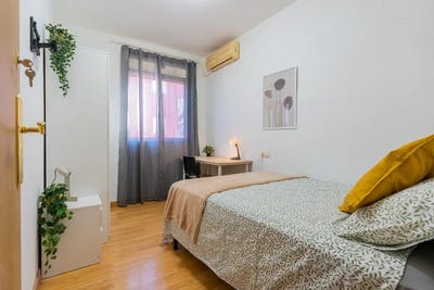 /international/es/carrer-de-jaume-ii-valencia-valencian-community-310095786889/?lang=zh-cn