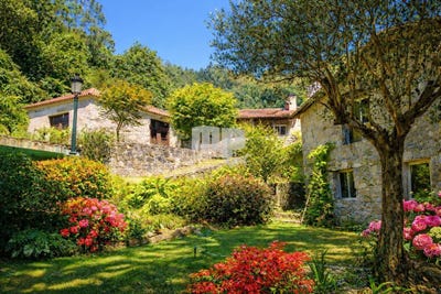 /international/es/gondomar-galicia-310101288528/