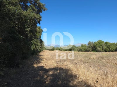 /international/es/balears-illes-balearic-islands-310101485952/?lang=zh-tw