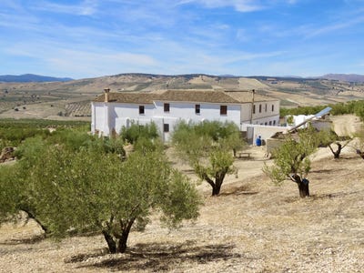 /international/es/granada-andalusia-120087908861/