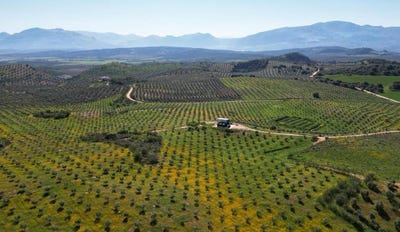 /international/es/archidona-andalusia-310101418939/?lang=zh-tw