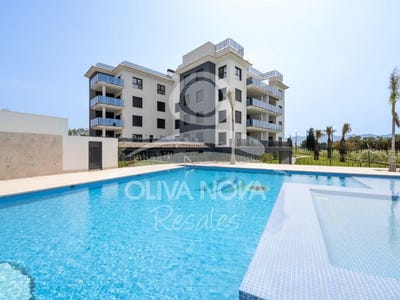 /international/es/oliva-valencian-community-310103349831/