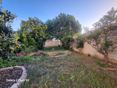 /international/es/granadilla-de-abona-canary-islands-310107491547/