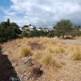 /international/es/11-c-lila-malaga-andalusia-310105536297/