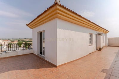 /international/es/lachar-andalusia-310101352849/?lang=zh-cn