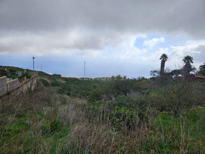 /international/es/rosario-el-canary-islands-310100669176/