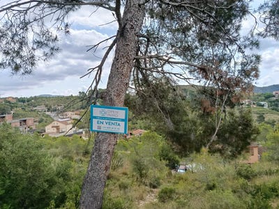/international/es/olivella-catalonia-310108556564/