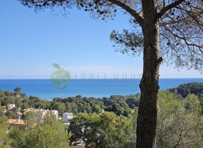 /international/es/sitges-catalonia-310106425864/