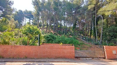/international/es/cervello-catalonia-310105742014/