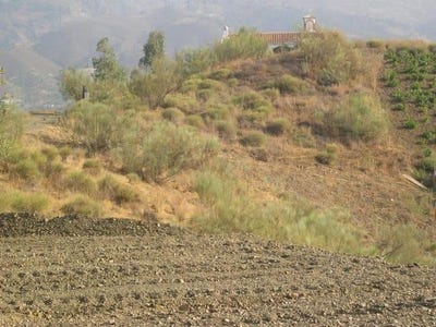 /international/es/sedella-andalusia-310100741449/
