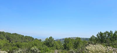 /international/es/benidoleig-valencian-community-310100280687/
