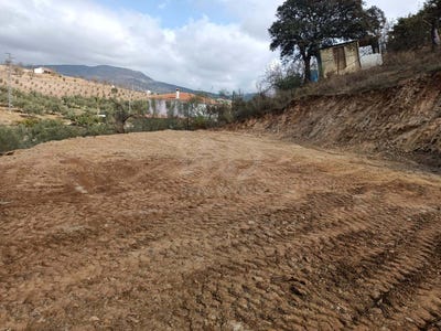 /international/es/diseminado-poligono-14-casabermeja-andalusia-310105651563/