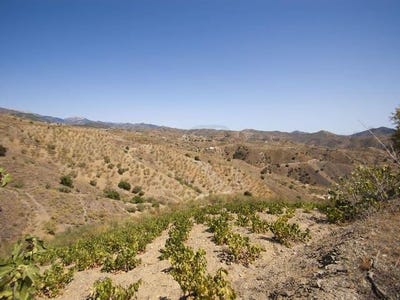 /international/es/sedella-andalusia-310100737493/