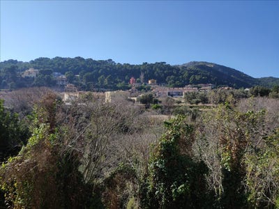 /international/es/serra-valencian-community-310094785718/