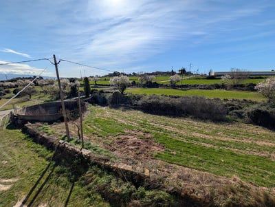/international/es/borrim-sant-mateu-de-bages-catalonia-310106416310/