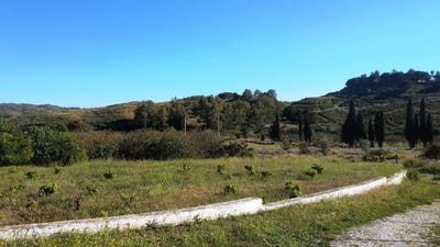 /international/es/malaga-andalusia-310100886349/