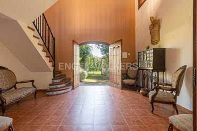 /international/es/el-garrobo-andalusia-310100641946/