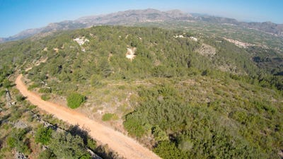/international/es/alcalali-valencian-community-310106710740/