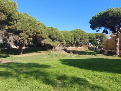 /international/es/elviria-andalusia-310101418991/