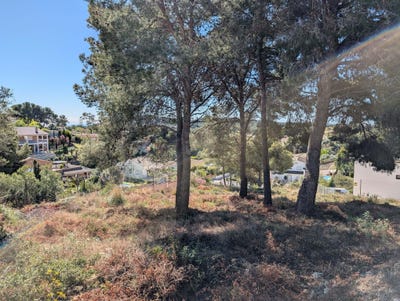 /international/es/carrer-del-cigne-cunit-catalonia-310105187872/