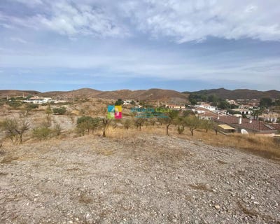 /international/es/arboleas-andalusia-120079724390/?lang=zh-cn