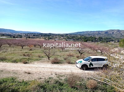/international/es/ontinyent-valencian-community-310108429993/