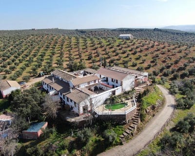 /international/es/montoro-andalusia-120069357373/?lang=en