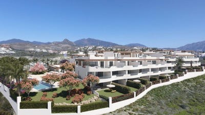 /international/es/alcornocal-andalusia-310099788242/?lang=en