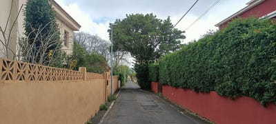 /international/es/san-cristobal-de-la-laguna-canary-islands-310100485915/