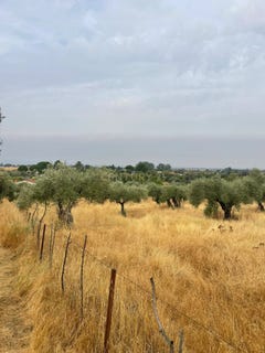 /international/es/millanes-extremadura-310107362065/
