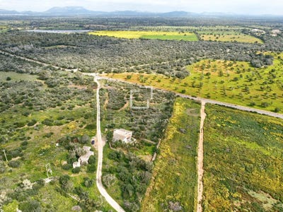 /international/es/llucmajor-balearic-islands-310106687090/