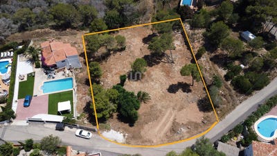 /international/es/alicante-valencian-community-310100169428/