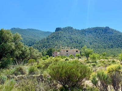 /international/es/cieza-region-of-murcia-310106607487/