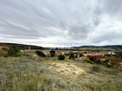 /international/es/zabaltzagain-puente-la-reina-gares-navarre-310107294061/