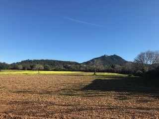 /international/es/1504-diseminado-primera-volta-felanitx-balearic-islands-310101734035/
