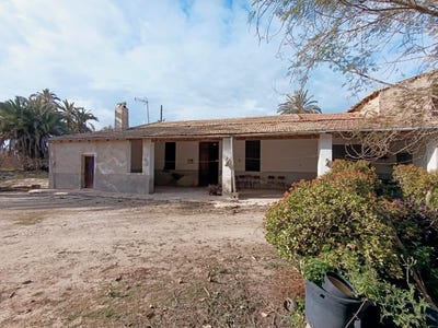 /international/es/elche-valencian-community-310101472739/?lang=fr