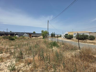 /international/es/ds-valentin-canara-cehegin-region-of-murcia-310108832356/