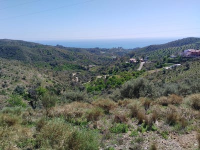 /international/es/rincon-de-la-victoria-andalusia-310109147912/