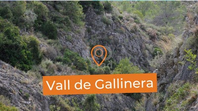 /international/es/portimao-valencian-community-310101130752/?lang=zh-tw